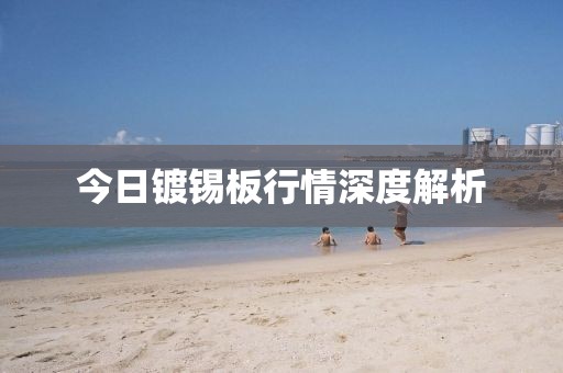 今日镀锡板行情深度解析