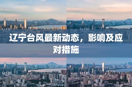 辽宁台风最新动态，影响及应对措施