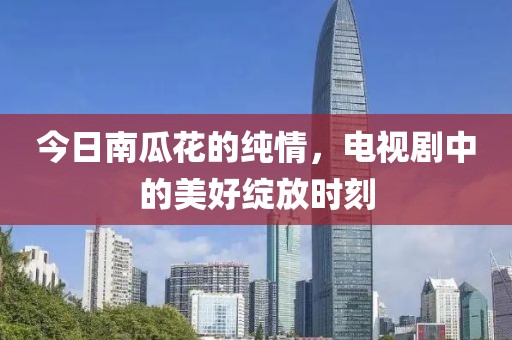 今日南瓜花的纯情，电视剧中的美好绽放时刻