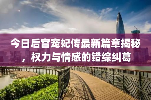 今日后宫宠妃传最新篇章揭秘，权力与情感的错综纠葛