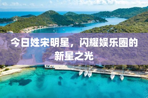 今日姓宋明星，闪耀娱乐圈的新星之光