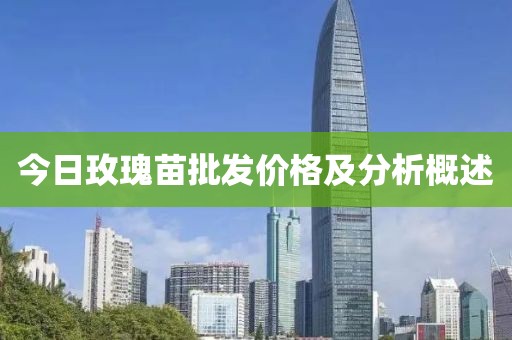 今日玫瑰苗批发价格及分析概述