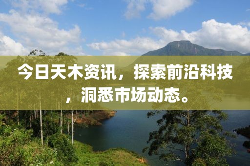今日天木资讯，探索前沿科技，洞悉市场动态。