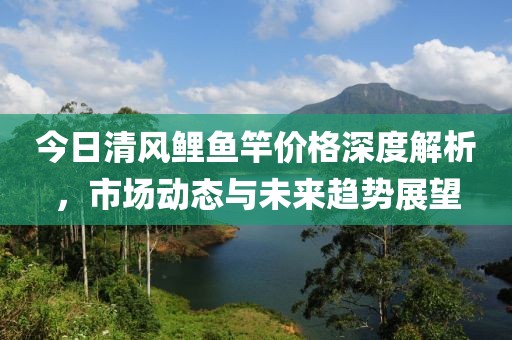 今日清风鲤鱼竿价格深度解析，市场动态与未来趋势展望