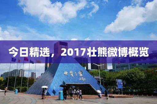 今日精选，2017壮熊微博概览