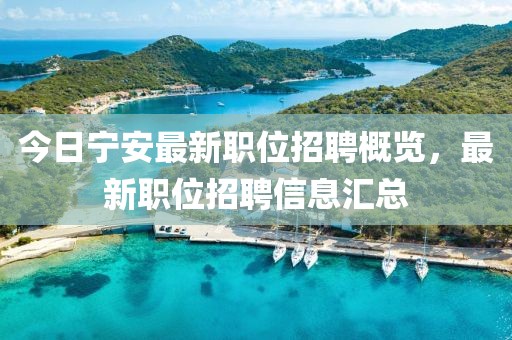 今日宁安最新职位招聘概览，最新职位招聘信息汇总