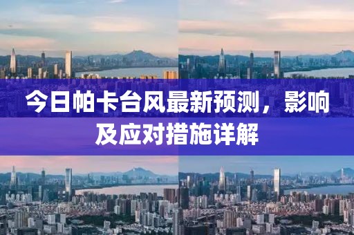 今日帕卡台风最新预测，影响及应对措施详解