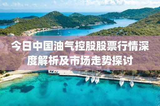 今日中国油气控股股票行情深度解析及市场走势探讨