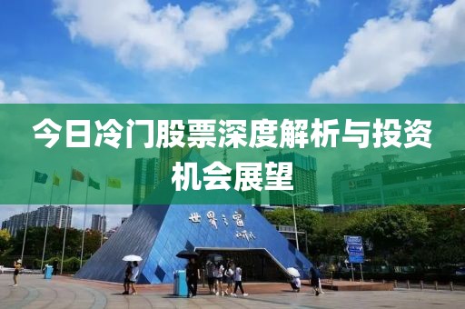 今日冷门股票深度解析与投资机会展望