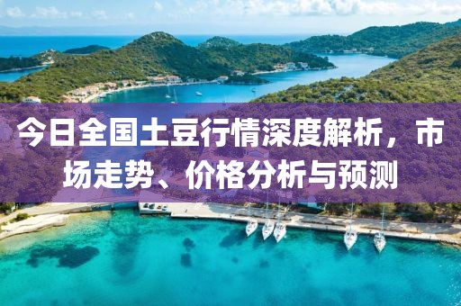 今日全国土豆行情深度解析，市场走势、价格分析与预测