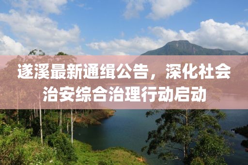 遂溪最新通缉公告，深化社会治安综合治理行动启动