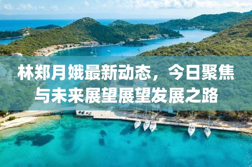 林郑月娥最新动态，今日聚焦与未来展望展望发展之路