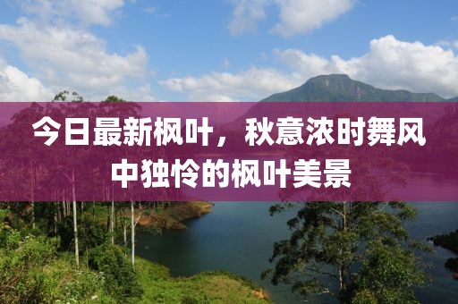 今日最新枫叶，秋意浓时舞风中独怜的枫叶美景