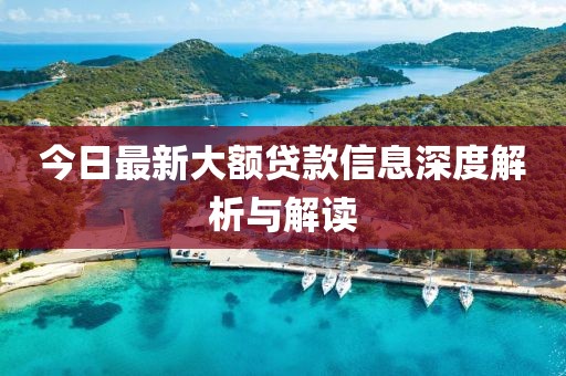 今日最新大额贷款信息深度解析与解读