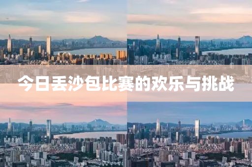 今日丢沙包比赛的欢乐与挑战