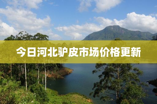 今日河北驴皮市场价格更新