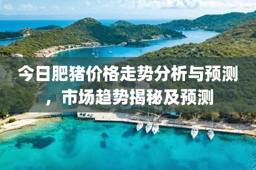 今日肥猪价格走势分析与预测，市场趋势揭秘及预测