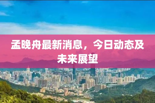孟晚舟最新消息，今日动态及未来展望