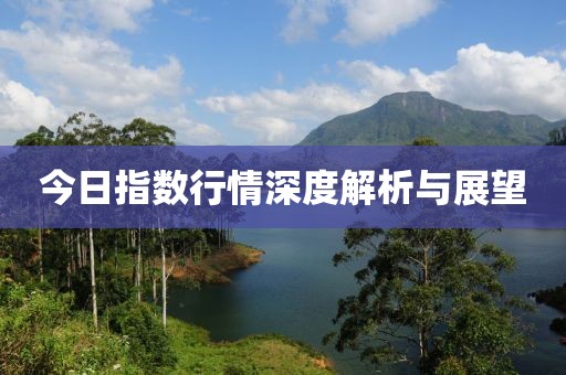 今日指数行情深度解析与展望