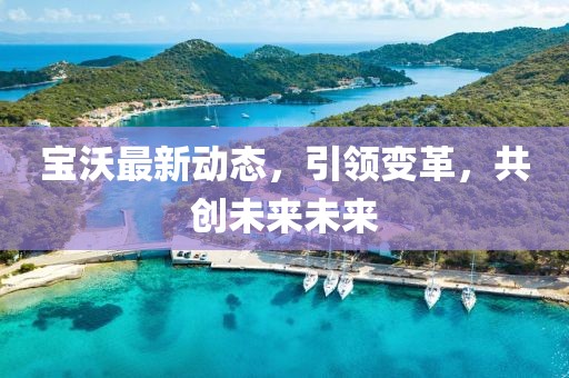 宝沃最新动态，引领变革，共创未来未来
