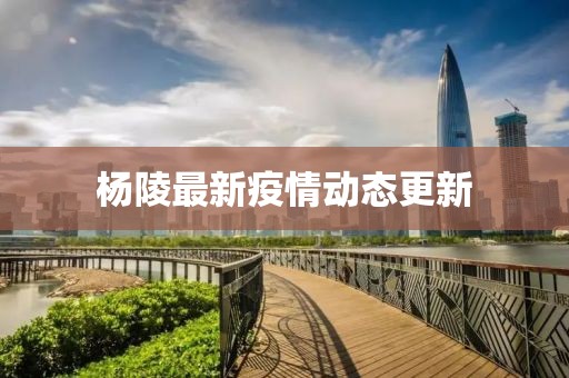 杨陵最新疫情动态更新
