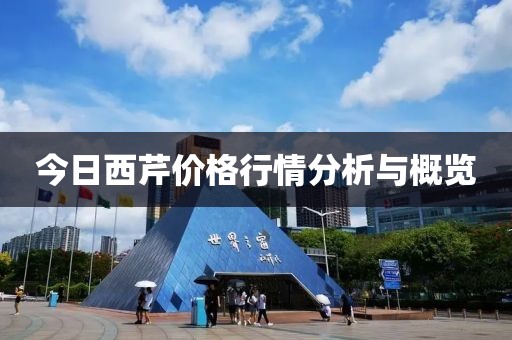 今日西芹价格行情分析与概览