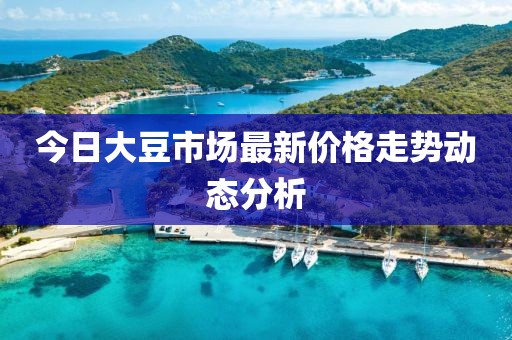 今日大豆市场最新价格走势动态分析
