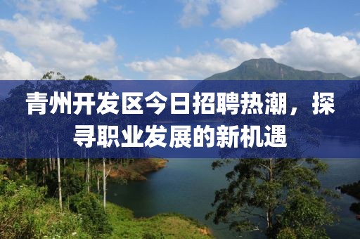 青州开发区今日招聘热潮，探寻职业发展的新机遇