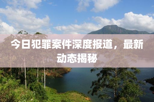 今日犯罪案件深度报道，最新动态揭秘