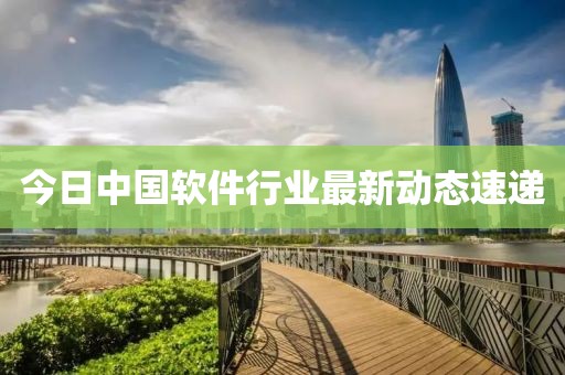今日中国软件行业最新动态速递