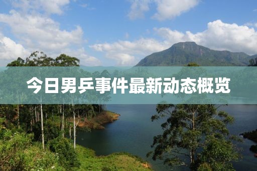 今日男乒事件最新动态概览