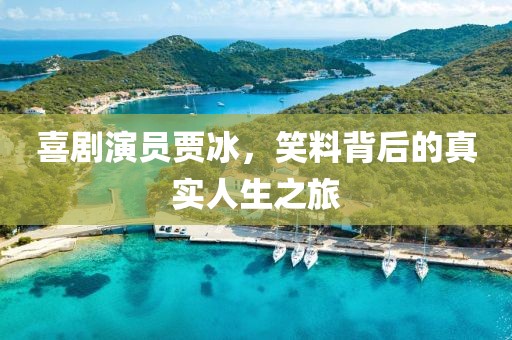 喜剧演员贾冰，笑料背后的真实人生之旅