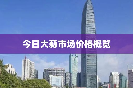今日大蒜市场价格概览