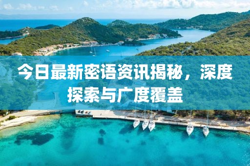 今日最新密语资讯揭秘，深度探索与广度覆盖