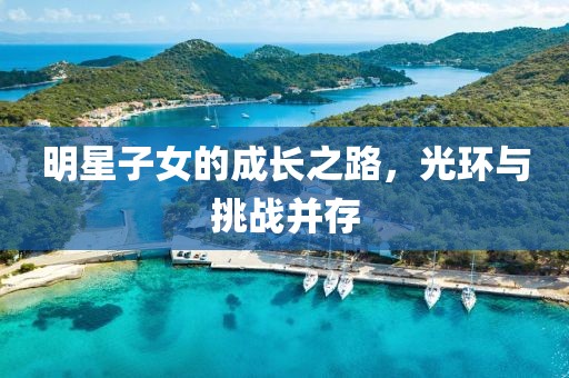 明星子女的成长之路，光环与挑战并存