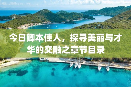 今日卿本佳人，探寻美丽与才华的交融之章节目录