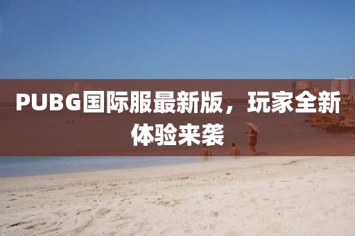 PUBG国际服最新版，玩家全新体验来袭