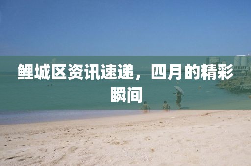 鲤城区资讯速递，四月的精彩瞬间