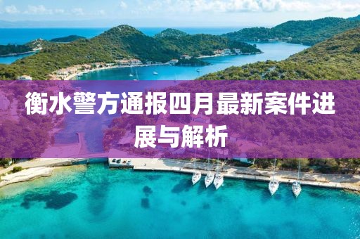 衡水警方通报四月最新案件进展与解析