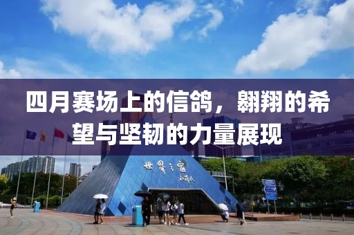 四月赛场上的信鸽，翱翔的希望与坚韧的力量展现