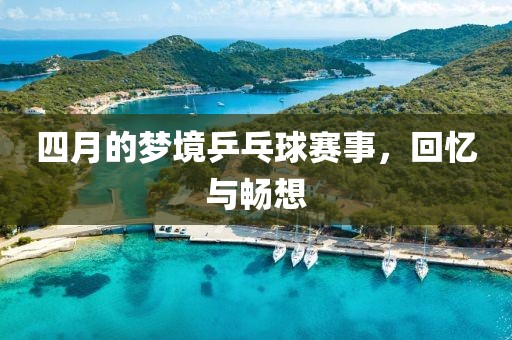 四月的梦境乒乓球赛事，回忆与畅想