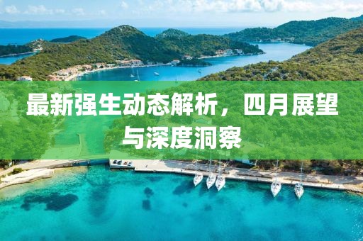 最新强生动态解析，四月展望与深度洞察