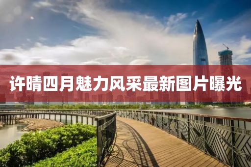 许晴四月魅力风采最新图片曝光