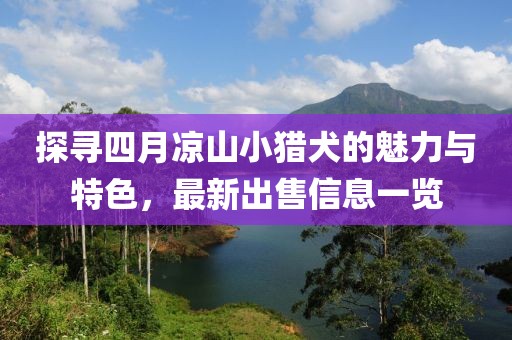 探寻四月凉山小猎犬的魅力与特色，最新出售信息一览