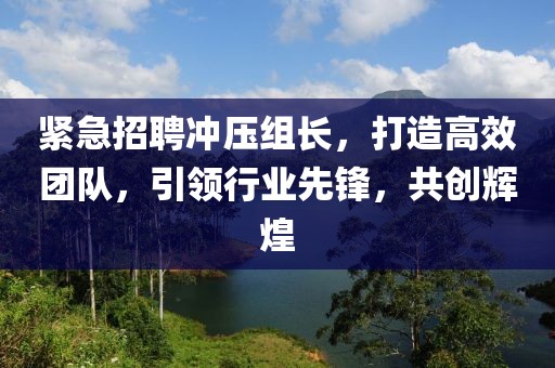 紧急招聘冲压组长，打造高效团队，引领行业先锋，共创辉煌