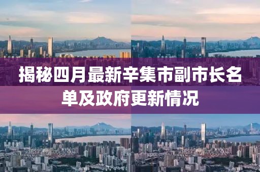 揭秘四月最新辛集市副市长名单及政府更新情况