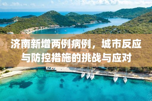 济南新增两例病例，城市反应与防控措施的挑战与应对