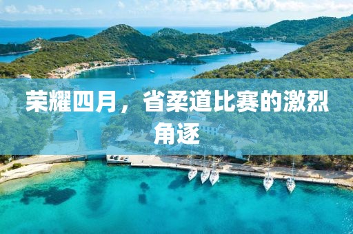 荣耀四月，省柔道比赛的激烈角逐