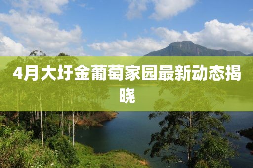 4月大圩金葡萄家园最新动态揭晓