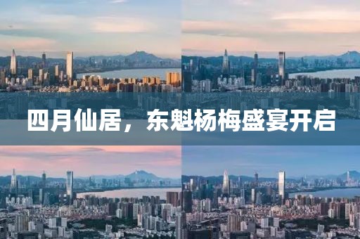 四月仙居，东魁杨梅盛宴开启